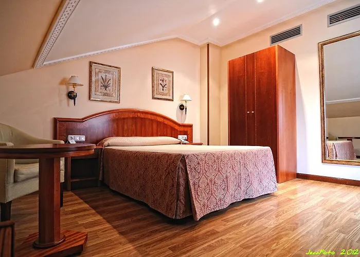 Alisi ホテル アランダ・デ・ドゥエロ