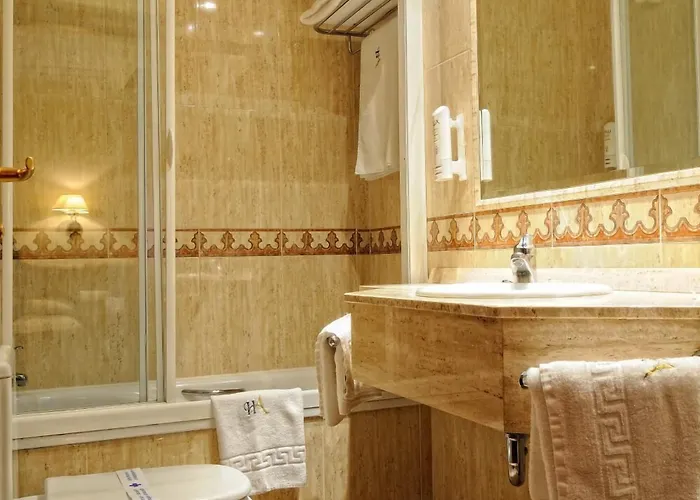 ホテル Alisi アランダ・デ・ドゥエロ